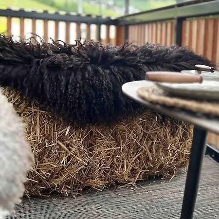The Nest