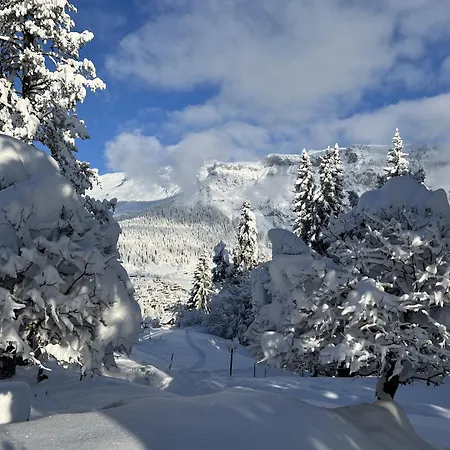 Apartmán The Nest *